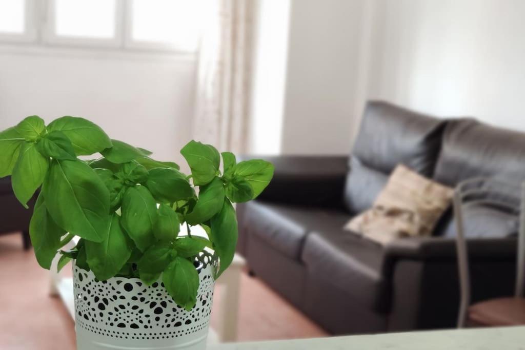 Apartament Breathe Bajamar - Surf, Piscinas Naturales, Senderismo